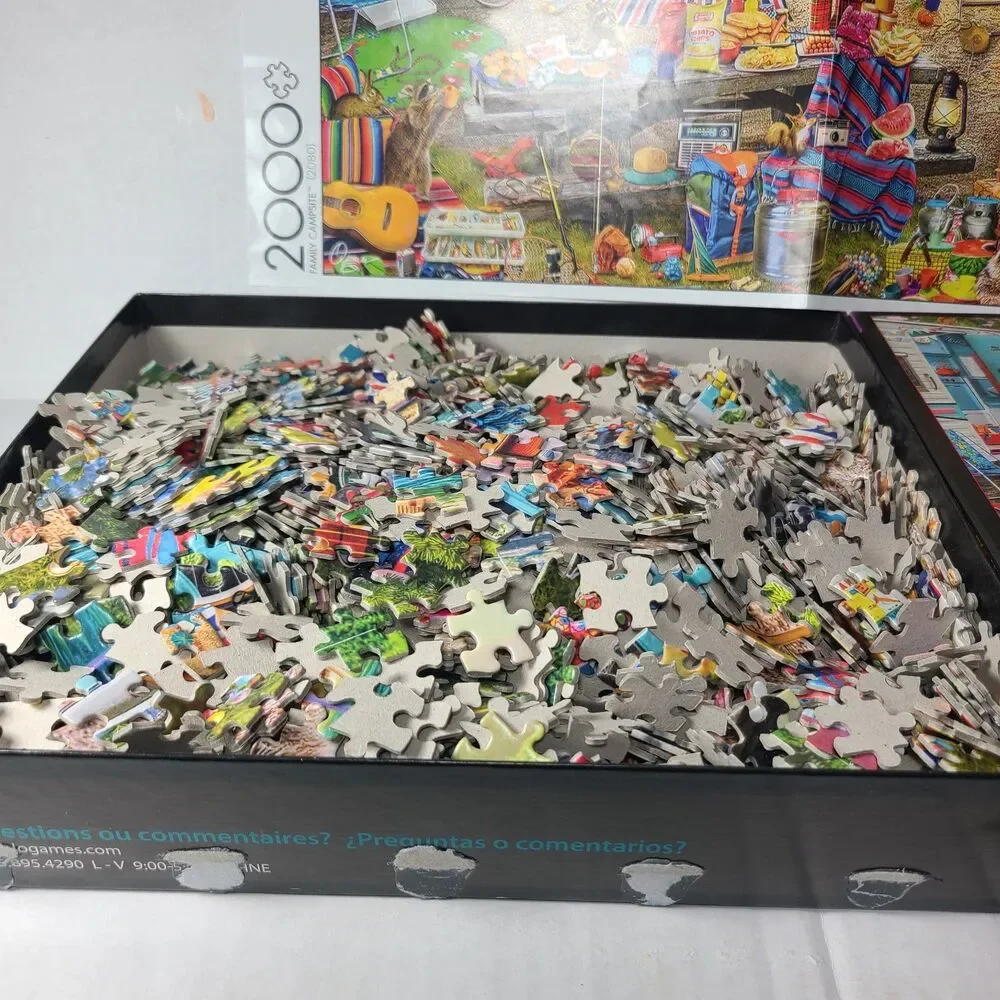 Family Campsite 2000 Piece Jigsaw Puzzle Buffalo 9200 Aimee Stewart Bonus Poster